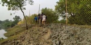 The people of Kultali are hesitant to play hide and seek with tigers and humans in the Sundarbans